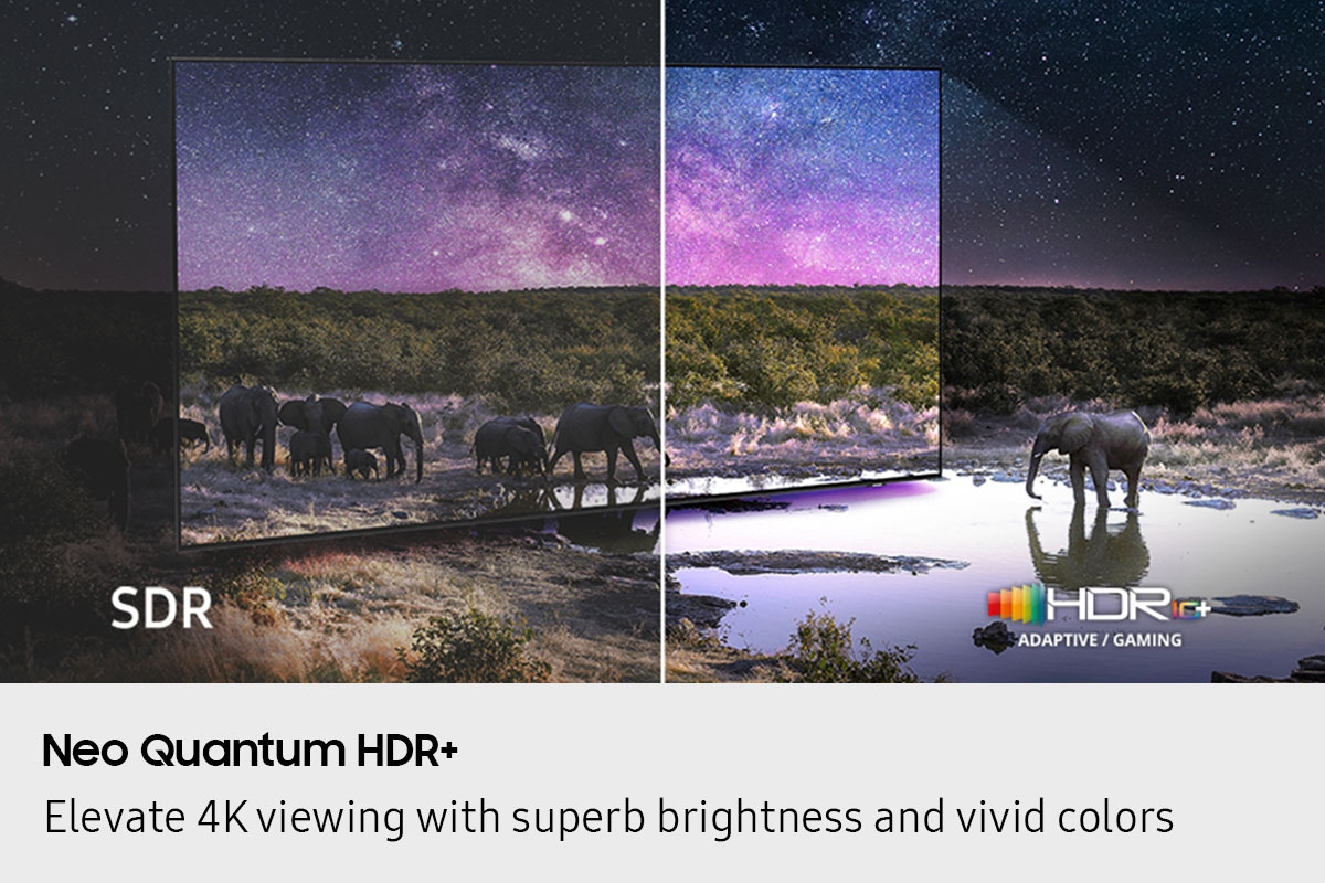 Elephants are walking around in a wide field. The scene after applying HDR 10+ ADAPTIVE/GAMING technology is much brighter and crisper than the SDR version.