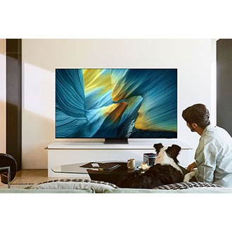 A man and a dog in a living room look at a TV displaying an otherworldly blue landscape on screen.