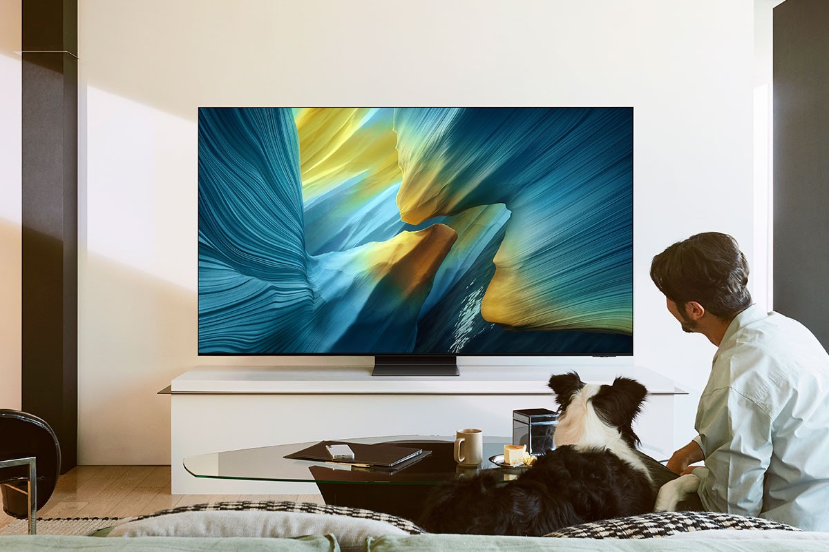 A man and a dog in a living room look at a TV displaying an otherworldly blue landscape on screen.