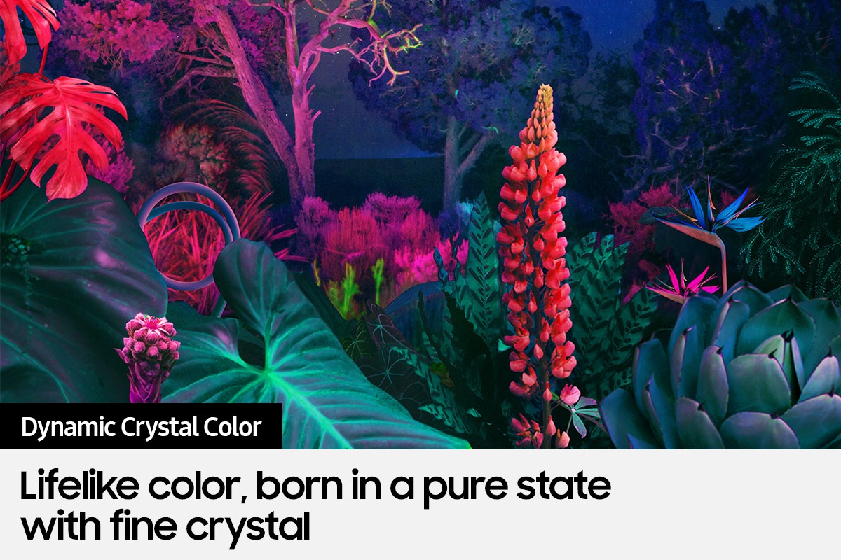 Crystal UHD TV BU8000 with Dynamic Crystal Color can deliver full range of color
