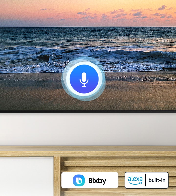 Multiple Voice Assistants