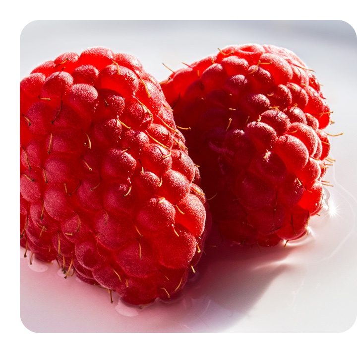 Two fresh-looking raspberries are shown placed on a flat white surface, with light hitting from side.