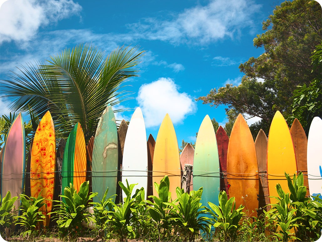 Ultra-wide angle icon activated, Ultra-wide angle are above a picture showing various surfboards lined up on a wall in bright, sunny daylight. With the Ultra-wide angle icon activated, the shot includes many more surfboards as well as much more of the sky, palm trees and surroundings.