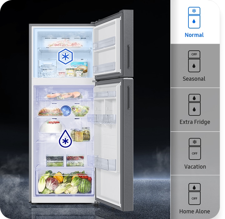 419 L BESPOKE AI Double Door Refrigerator RT45DG6A2BSL Samsung India