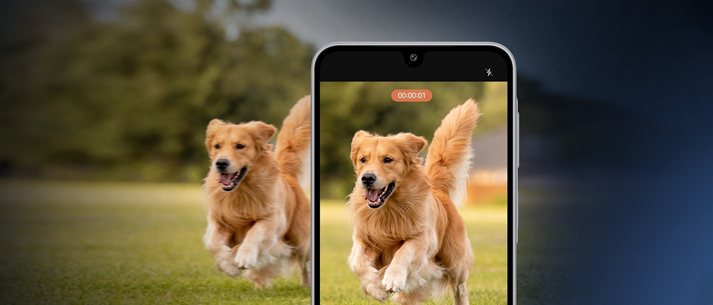 Βίντεο χωρίς κραδασμούς με ±1,5° OIS