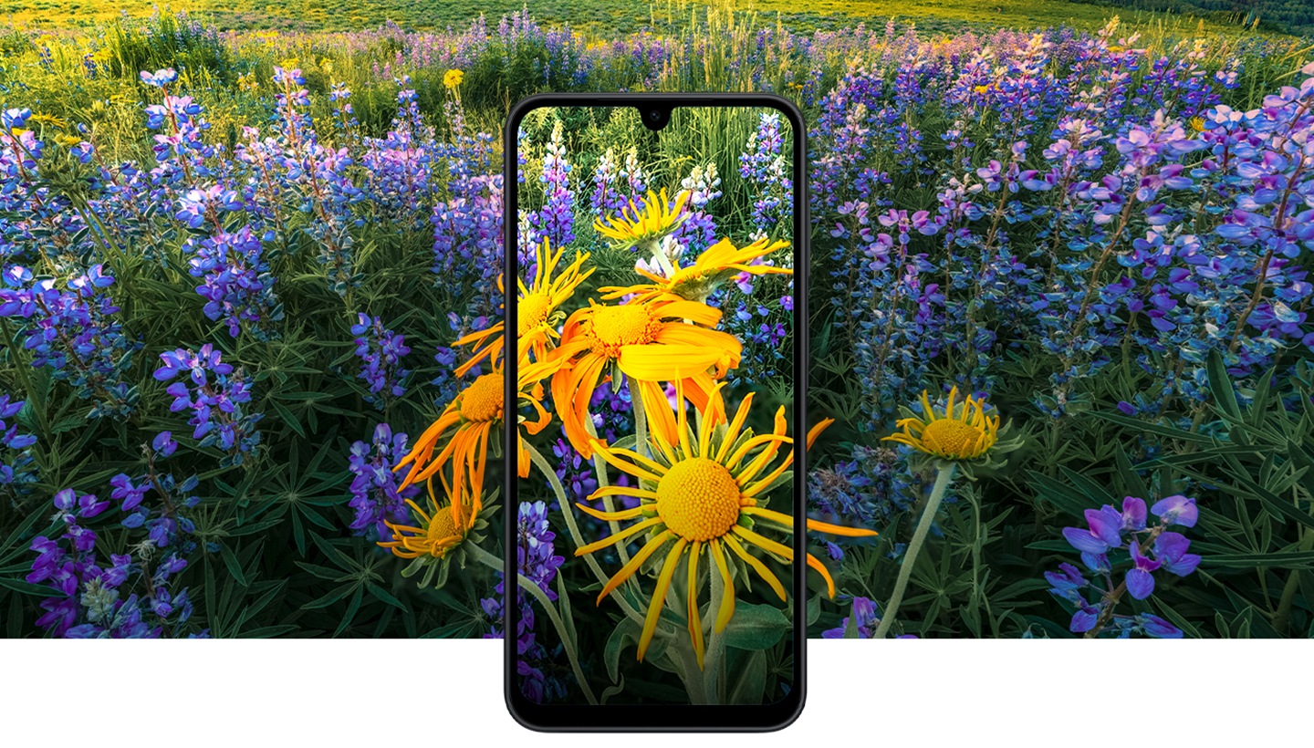 AMOLED Display