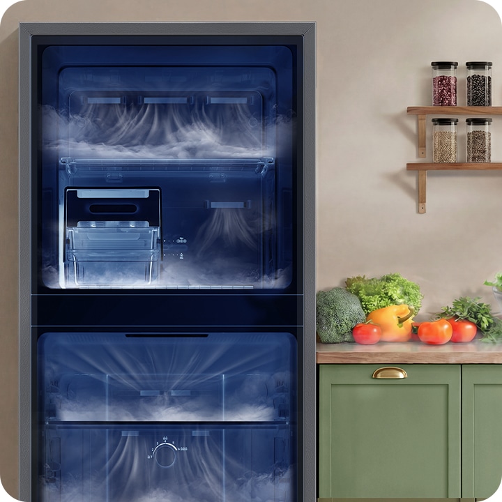 Buy 256 L Double Door Refrigerator Rt40H30W2Khl | Samsung India