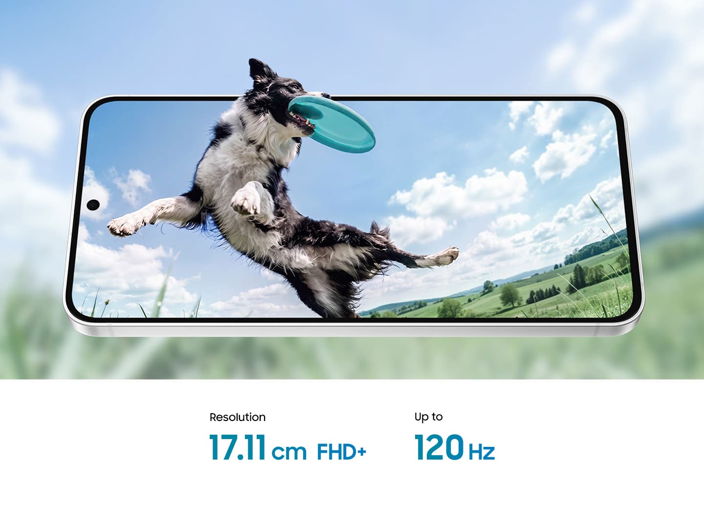 Front view of Galaxy S26 FE in landscape orientation and slightly tilted back. The display shows a dog catching a frisbee midair. The dog's head appears to extend beyond the edge of the screen, while the blurred background continues the image to emphasize the device's immersive display. Resolution 17.11 cm FHD+. Up to 120Hz.