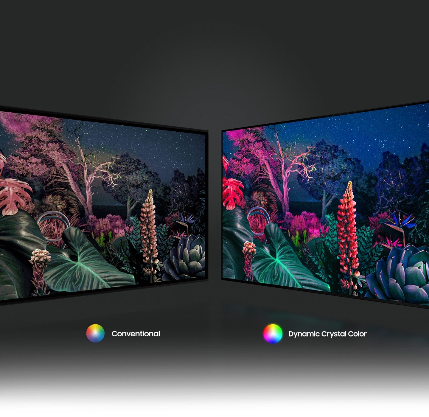 The forest image on the right demonstrates a more intricately colored image due to Dynamic Crystal Color technology compare to the conventional on the left.
