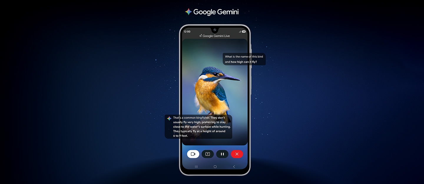 Monster for the curious 