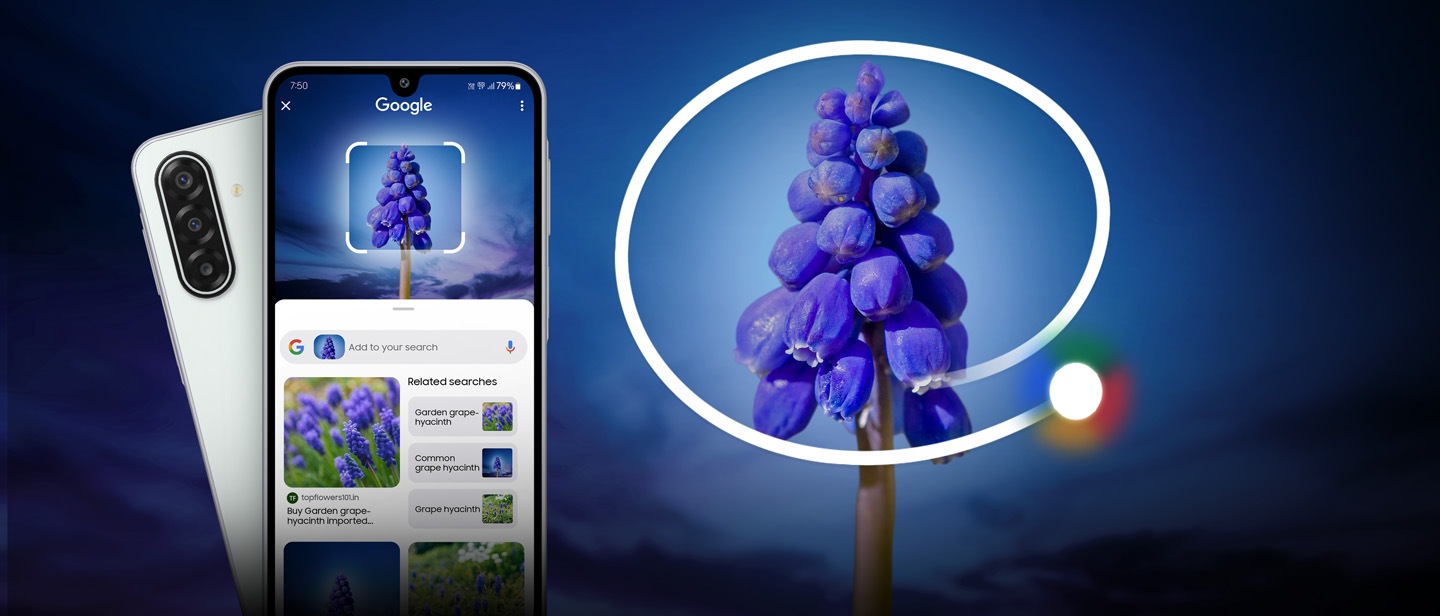 Search like a Monster