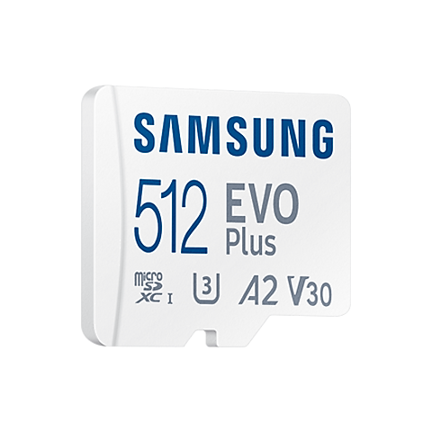 Young lady Picasso currency EVO Plus microSDXC Memory Card 512GB | Samsung India