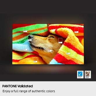 1.38 m (55) OLED S85F 4K Samsung Vision AI Smart TV Black