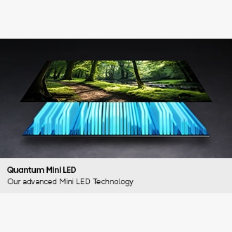 1.63 m (65) QN2EH Neo QLED 4K Smart TV (2026) Black