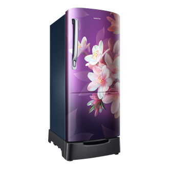 RR20F1823 One Door with Digital Inverter Technology L-Perspective Blue 