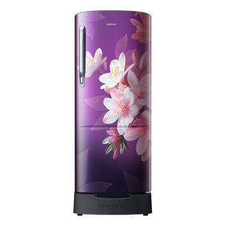 RR20F1823 One Door with Digital Inverter Technology Front Blue 