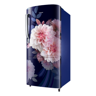 RR20F2723 One Door with Digital Inverter Technology R-Perspective Blue 