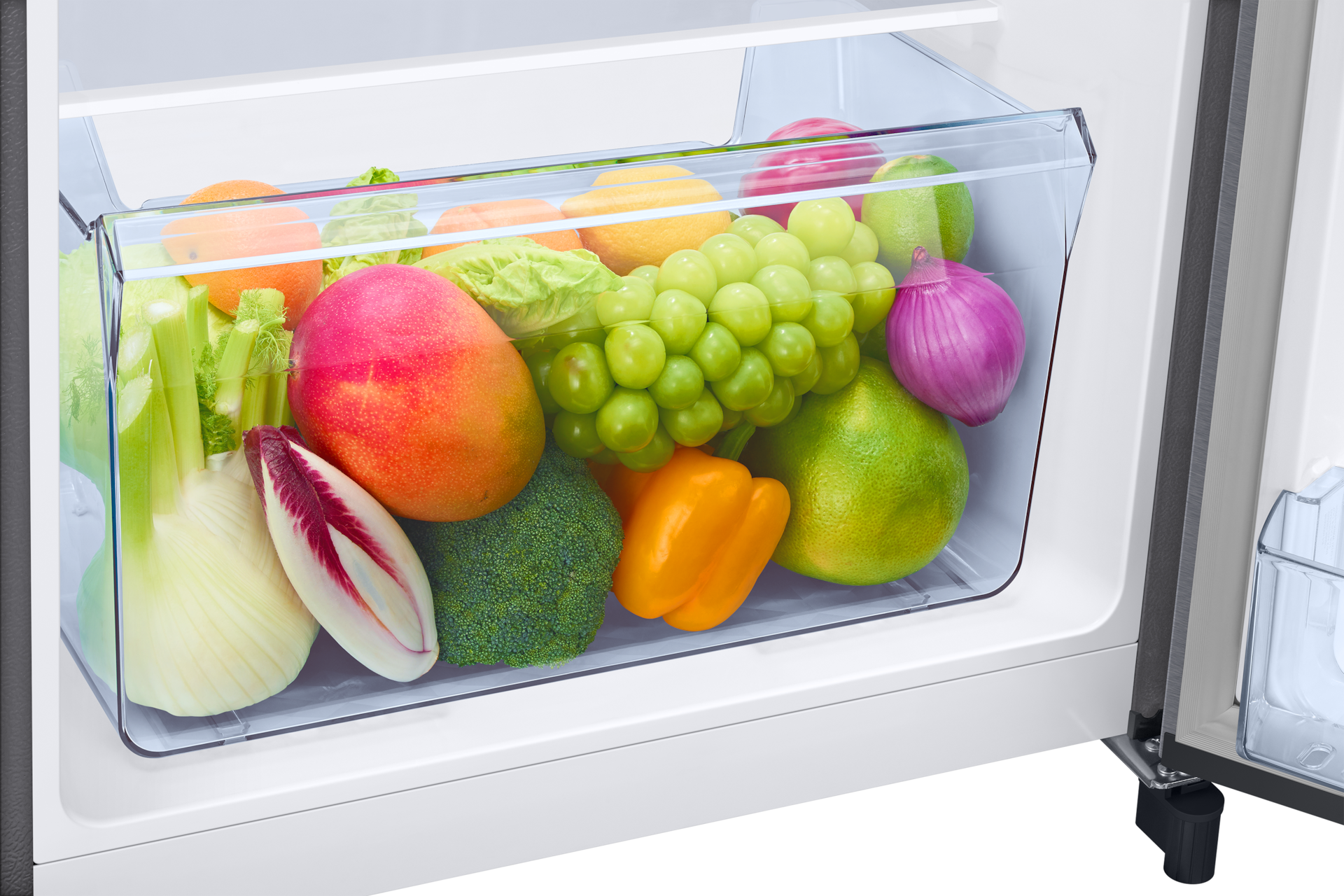 RR21H2G24 RR2000TH 1Door Refrigerators with Digi-Touch Cool™ RR21/RR23 Detail4-Vegi-Box Silver 