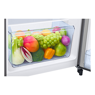 RR21H2G25S8, Single Door Refrigerator with Horizontal Curve Design 189 L Detail4-Vegi-Box Metallic Silver 