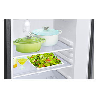 RR21H2G25S8, Single Door Refrigerator with Horizontal Curve Design 189 L Detail3-Shelves Metallic Silver 