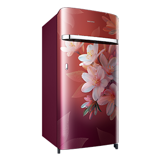 RR21H2G25WR, Single Door Refrigerator with Horizontal Curve Design 189 L Wild Lily Red