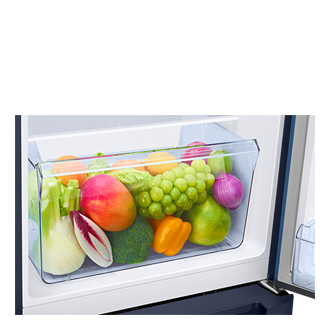 RR21H2H24 1Door Refrigerators with Digi-Touch Cool™ RR21/RR23 Detail5-Vegi-Box Blue 