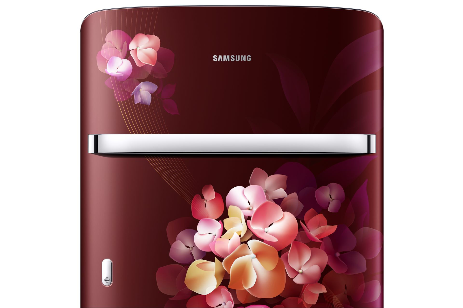 RR21H2H24 1Door Refrigerators with Digi-Touch Cool™ RR21/RR23 Detail2-Handle Red 