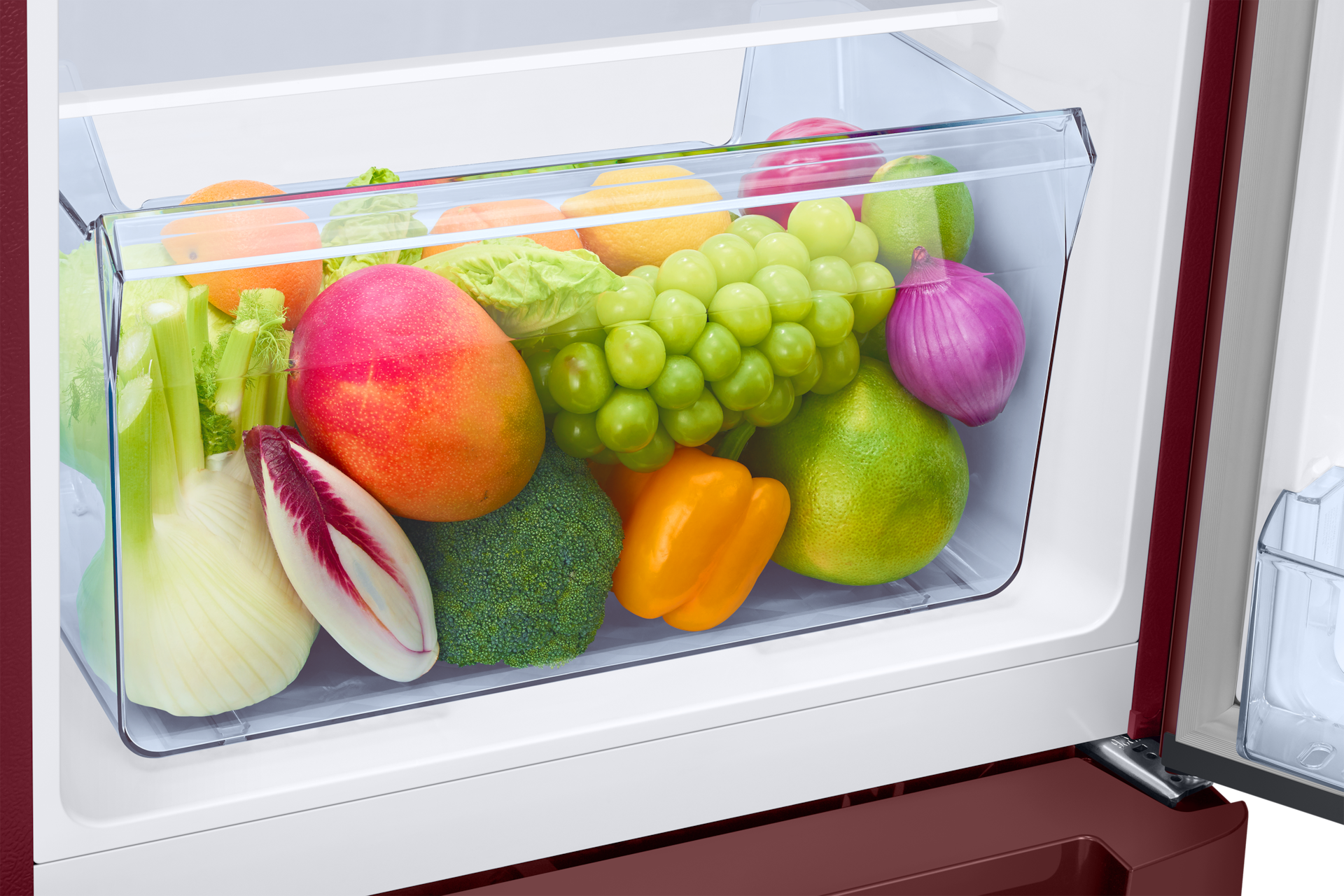 RR21H2H24 1Door Refrigerators with Digi-Touch Cool™ RR21/RR23 Detail5-Vegi-Box Red 
