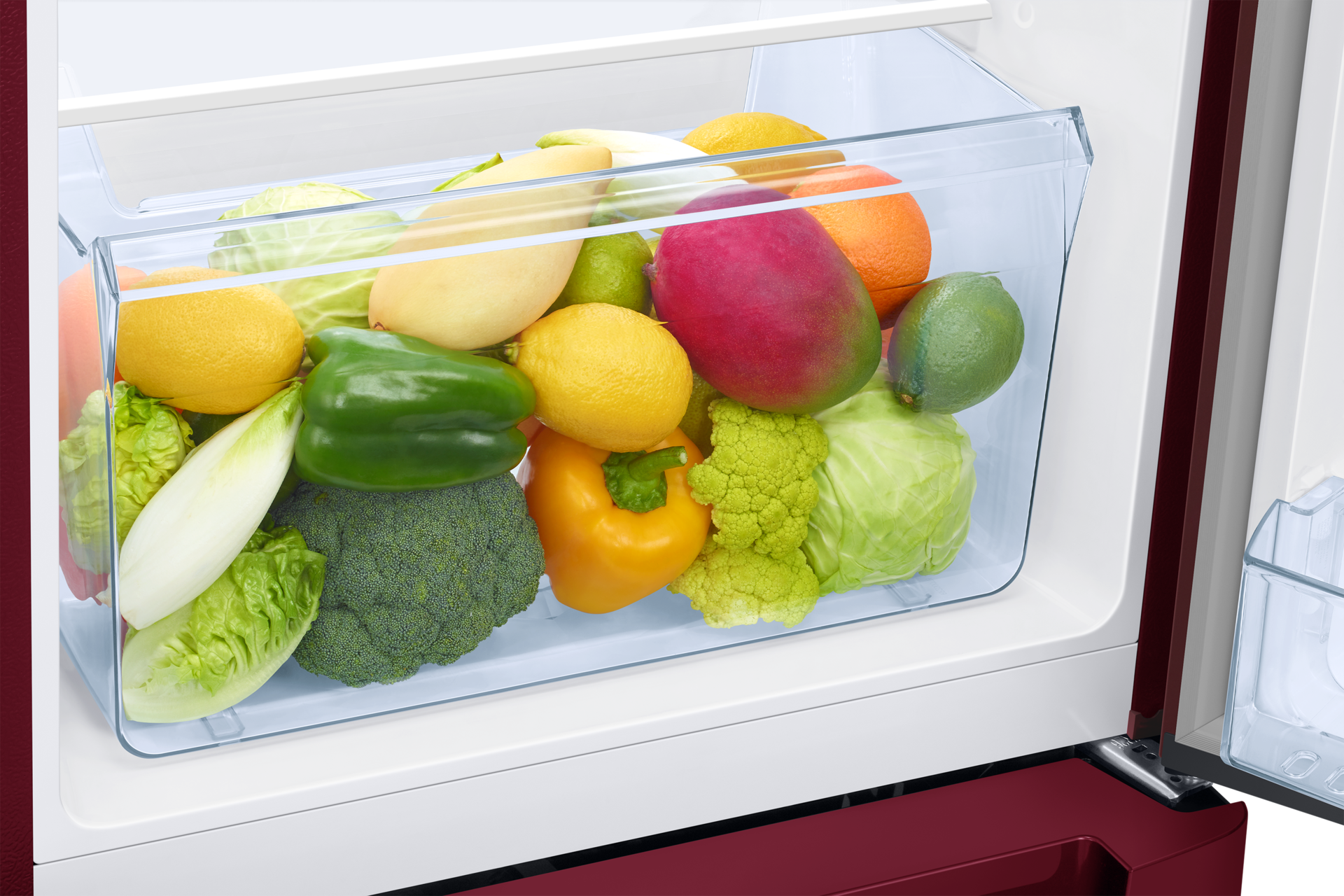 RR21H2H24 1Door Refrigerators with Digi-Touch Cool™ RR21/RR23 Detail5 Red Flower 