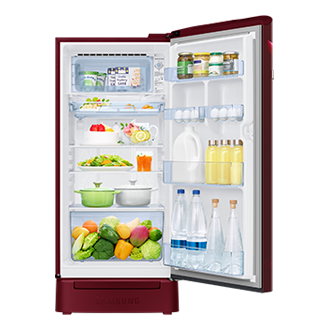 RR21H2H24 1Door Refrigerators with Digi-Touch Cool™ RR21/RR23 Inside-Food Red Flower 