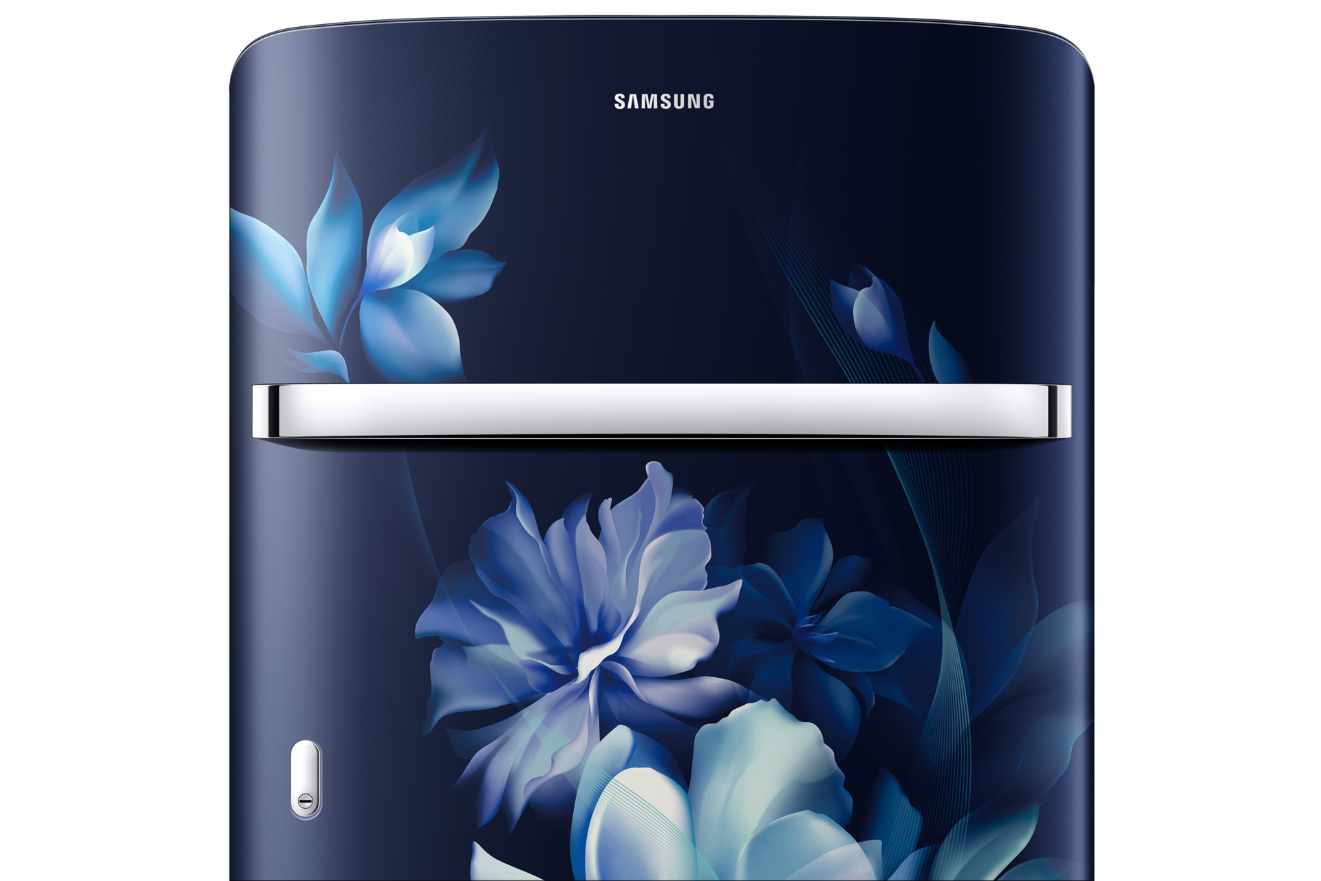 RR21H2H24 1Door Refrigerators with Digi-Touch Cool™ RR21/RR23 Detail-Handle Blue 