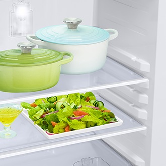 RR21H2H25 RR2000TH 1Door Refrigerators with Digi-Touch Cool™ RR21/RR23 Detail4-Shelves Blue 