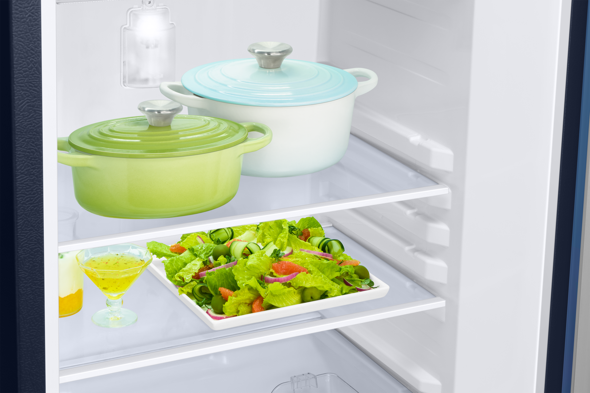 RR21H2H25 RR2000TH 1Door Refrigerators with Digi-Touch Cool™ RR21/RR23 Detail4-Shelves Blue 