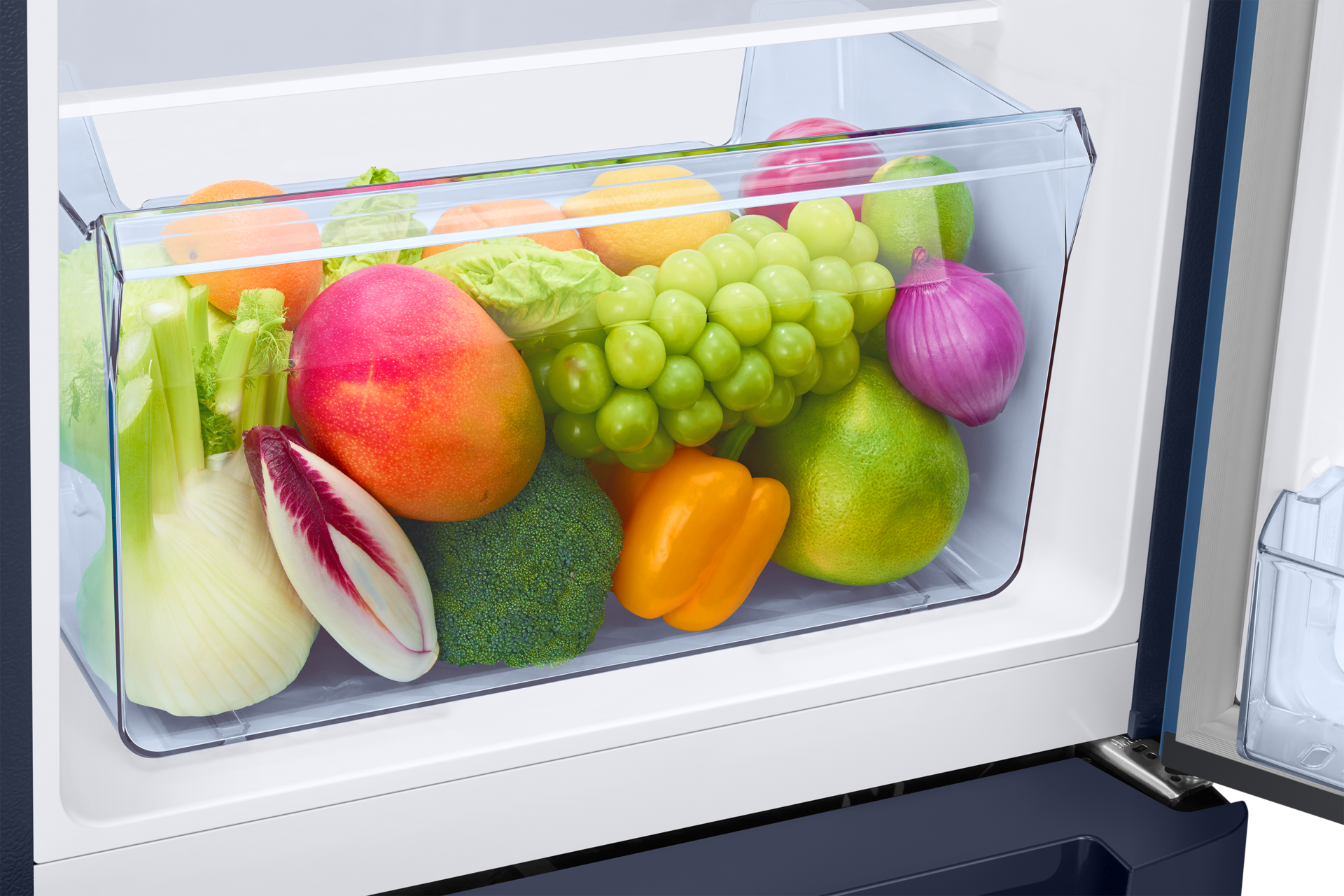 RR21H2H25 RR2000TH 1Door Refrigerators with Digi-Touch Cool™ RR21/RR23 Detail5-Vegi-Box Blue 