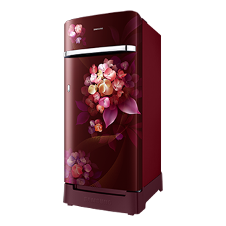 RR21H2H25 RR2000TH 1Door Refrigerators with Digi-Touch Cool™ RR21/RR23 R-Perspective Red 
