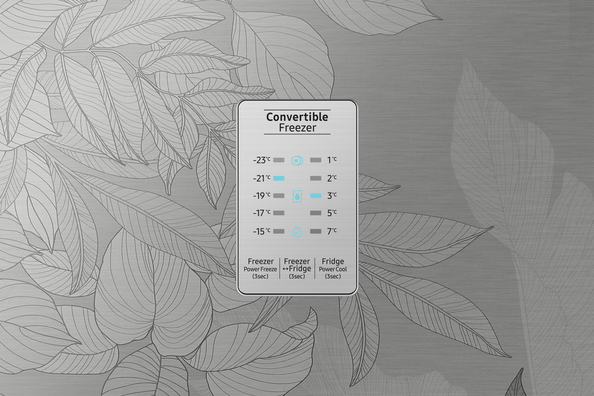 detail-display Silver