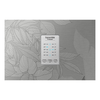 detail-display Silver