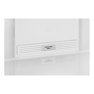 RT38HG5A42 Top Mount Freezer with  Twin Cooling Plus Active-Fresh-Filter- Stainless Steel 