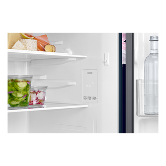 RT40H30U2 Top Mounted Freezer Refigerator 2-in-1 smart conversion 256L Detail-Display Blue 