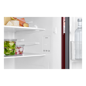 RT40H30U2 Top Mounted Freezer Refigerator 2-in-1 smart conversion 256L Detail-Display Red 