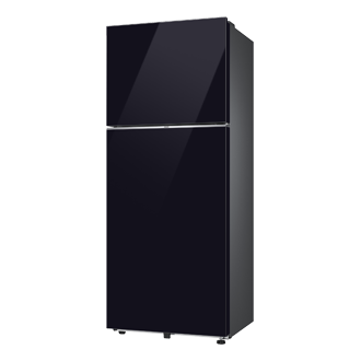 RT45HB6A42 RT6300DH Top Mount Freezer with  Twin Cooling Plus R-Perspective Black 