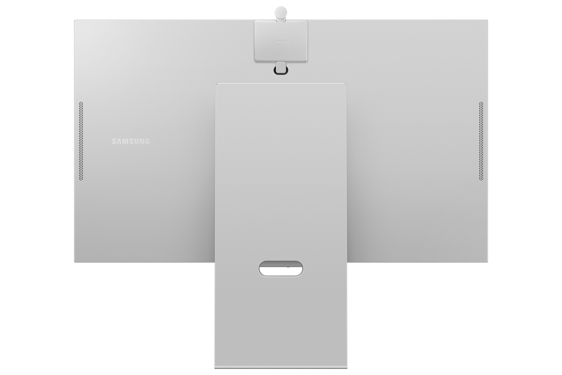 back Light Gray