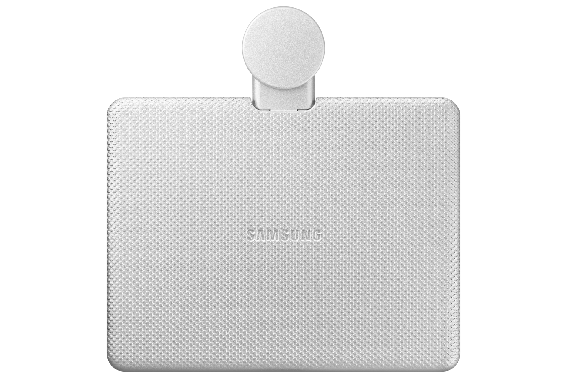 back Light Gray