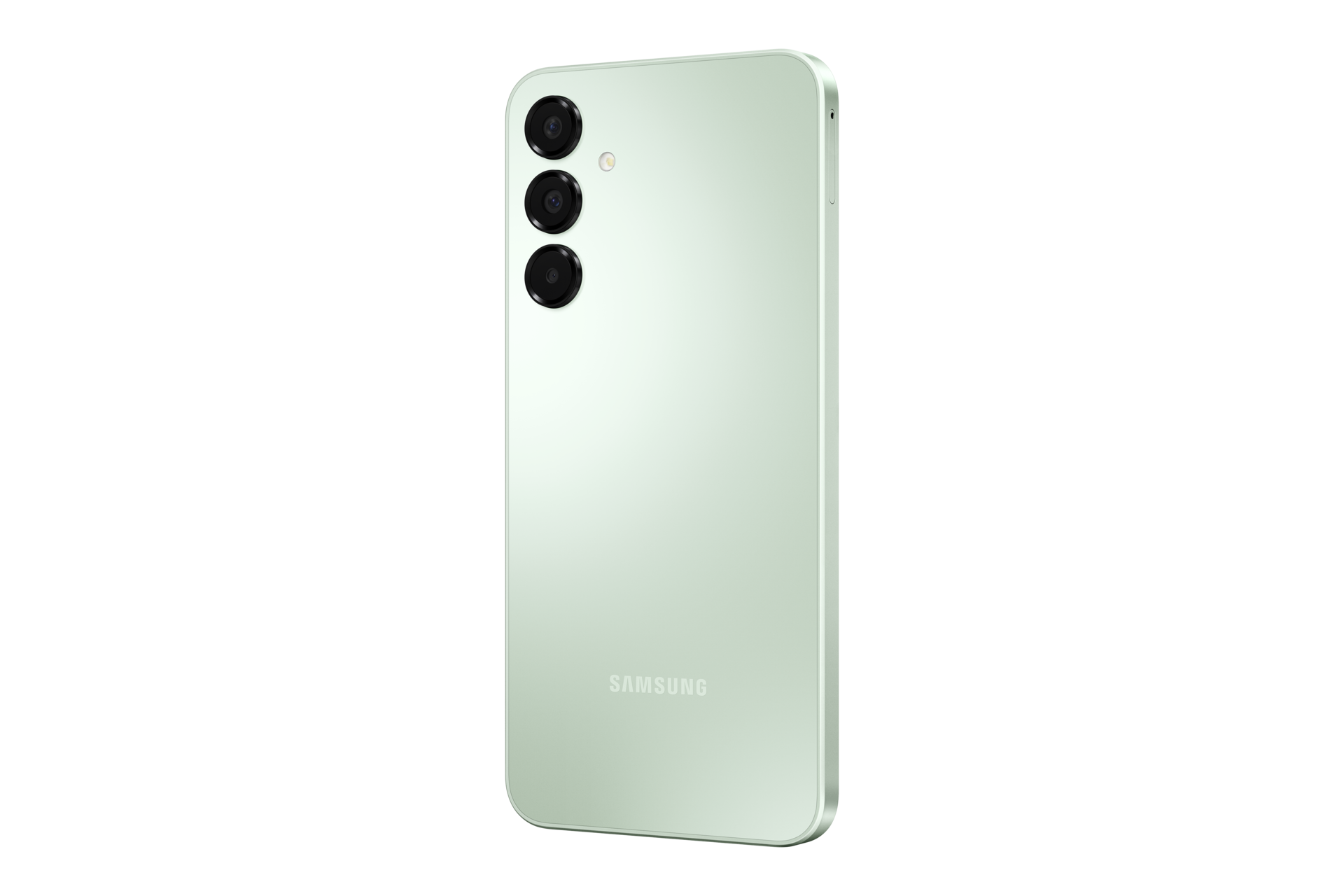 back-r30 Light Green