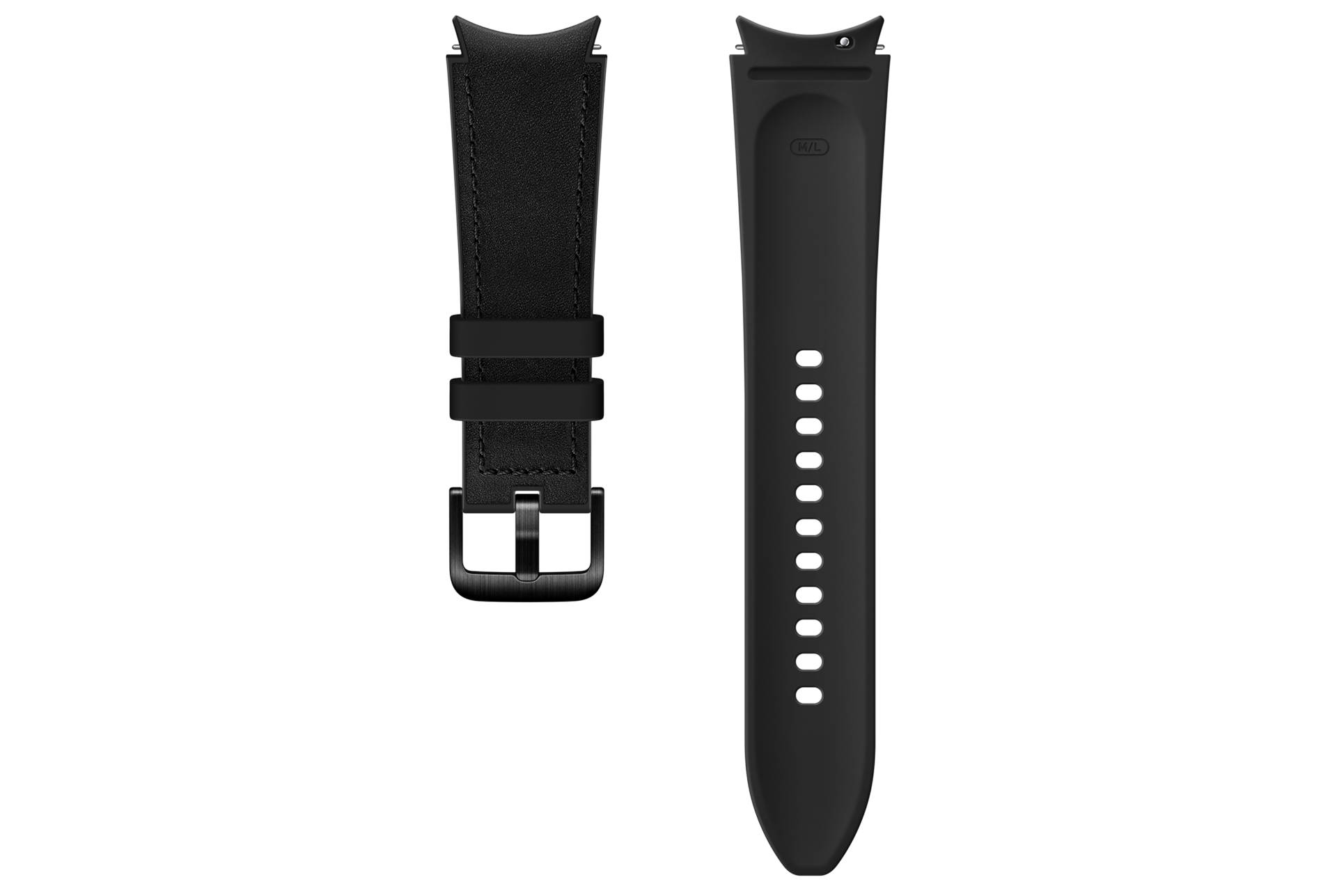 back Black