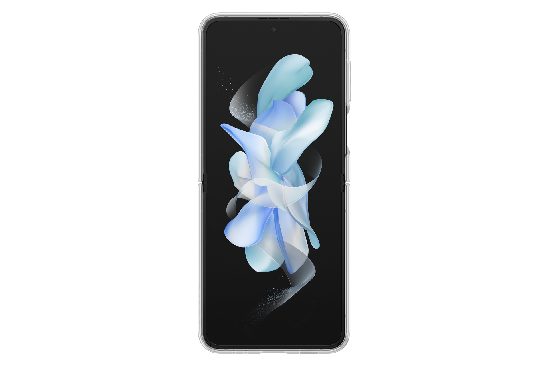back Transparent
