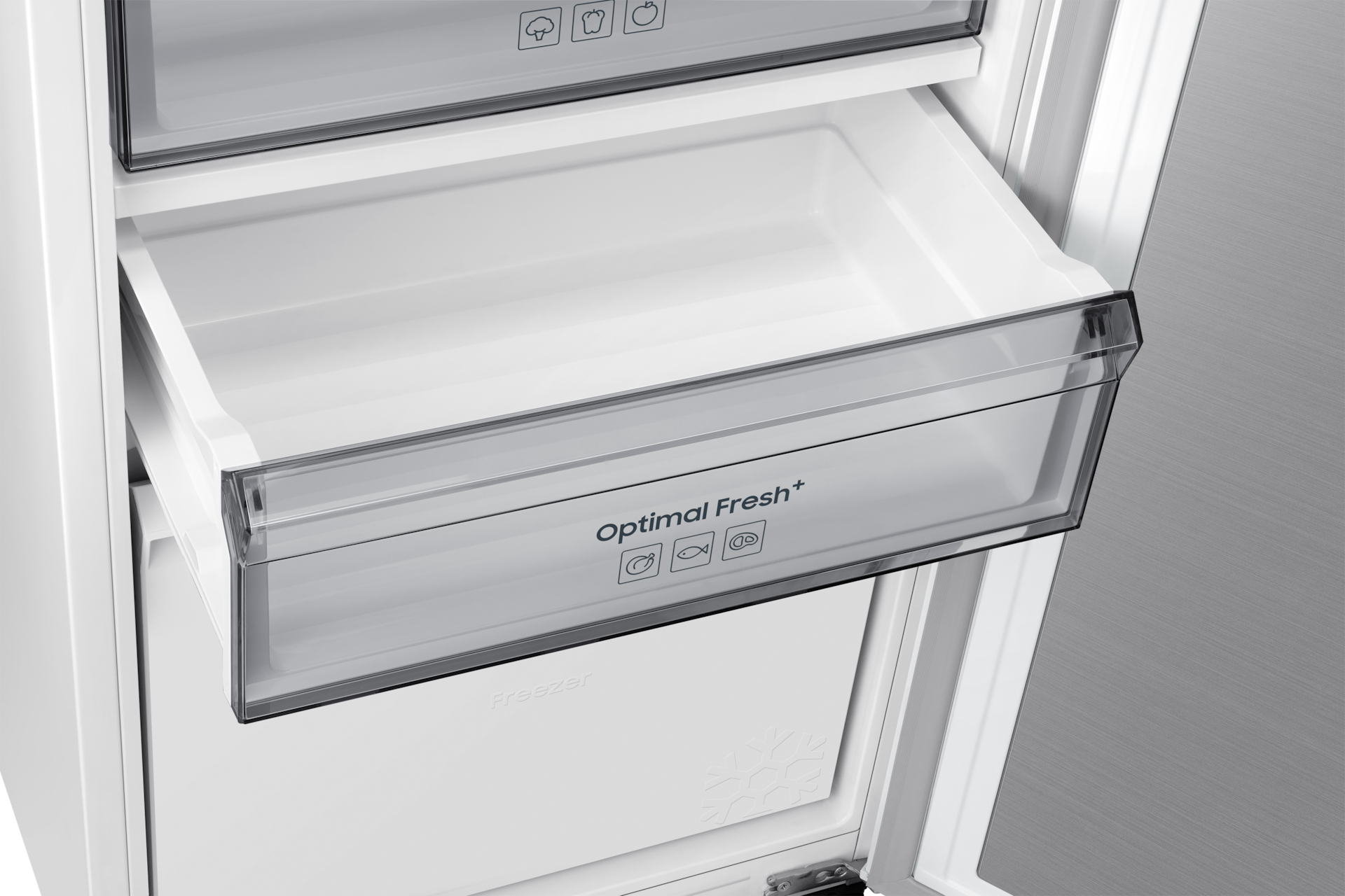 [óptí~mál-f~résh~ Whít~é]