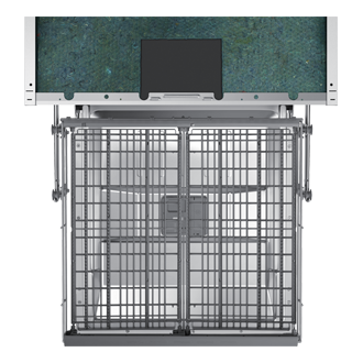 [détá~íl1 Wh~íté]