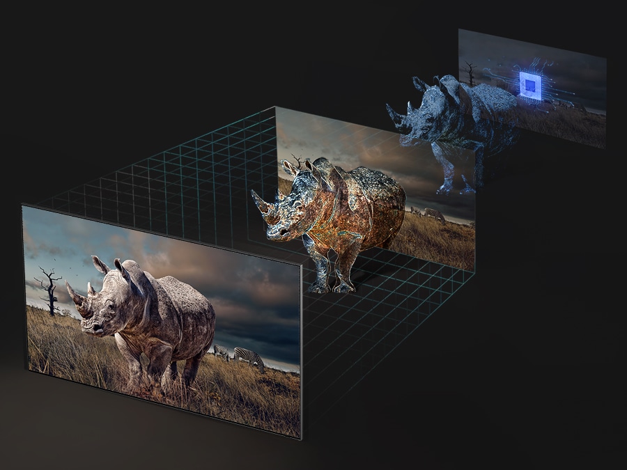 I 3 passaggi per proiettare una vita come un rinoceronte vengono mostrati utilizzando la tecnologia Real Depth Enhancer.