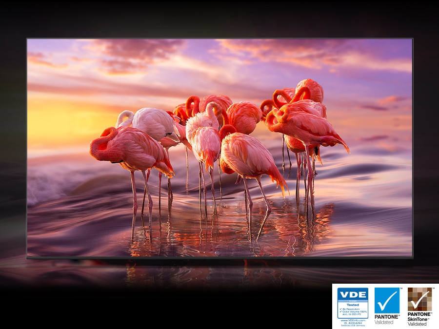 Una TV QLED mostra un gruppo di fenicotteri nell'acqua che sono raffigurati in colori opachi.